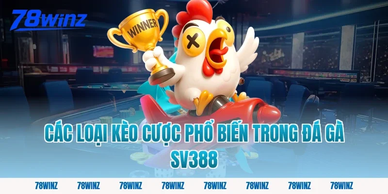 Các loại kèo cược phổ biến trong đá gà SV388