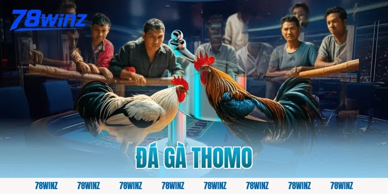 đá gà thomo