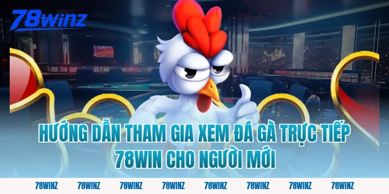 Hướng Dẫn Tham Gia Xem Đá Gà Trực Tiếp 78Win Cho Người Mới