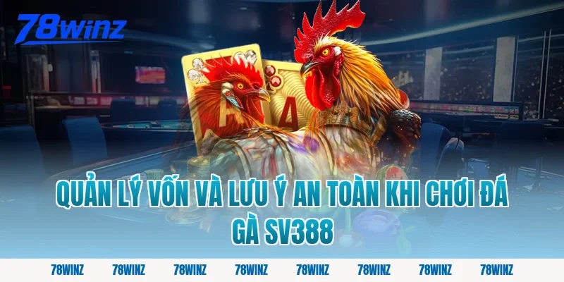 Quản lý vốn và lưu ý an toàn khi chơi đá gà SV388